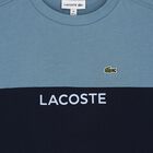 Boys Blue Colourblock Cotton T-Shirt, 1, hi-res