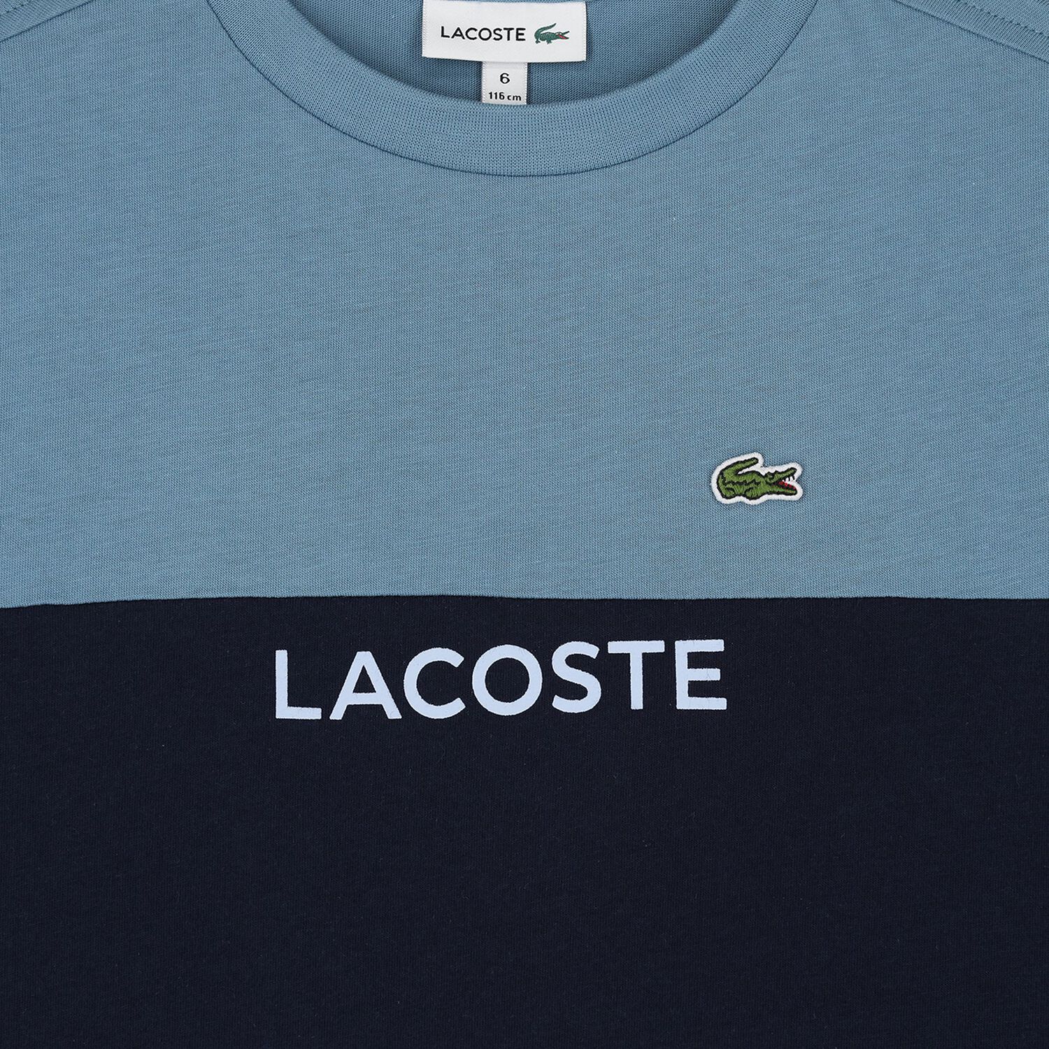 Boys Blue Colourblock Cotton T-Shirt, 1, hi-res