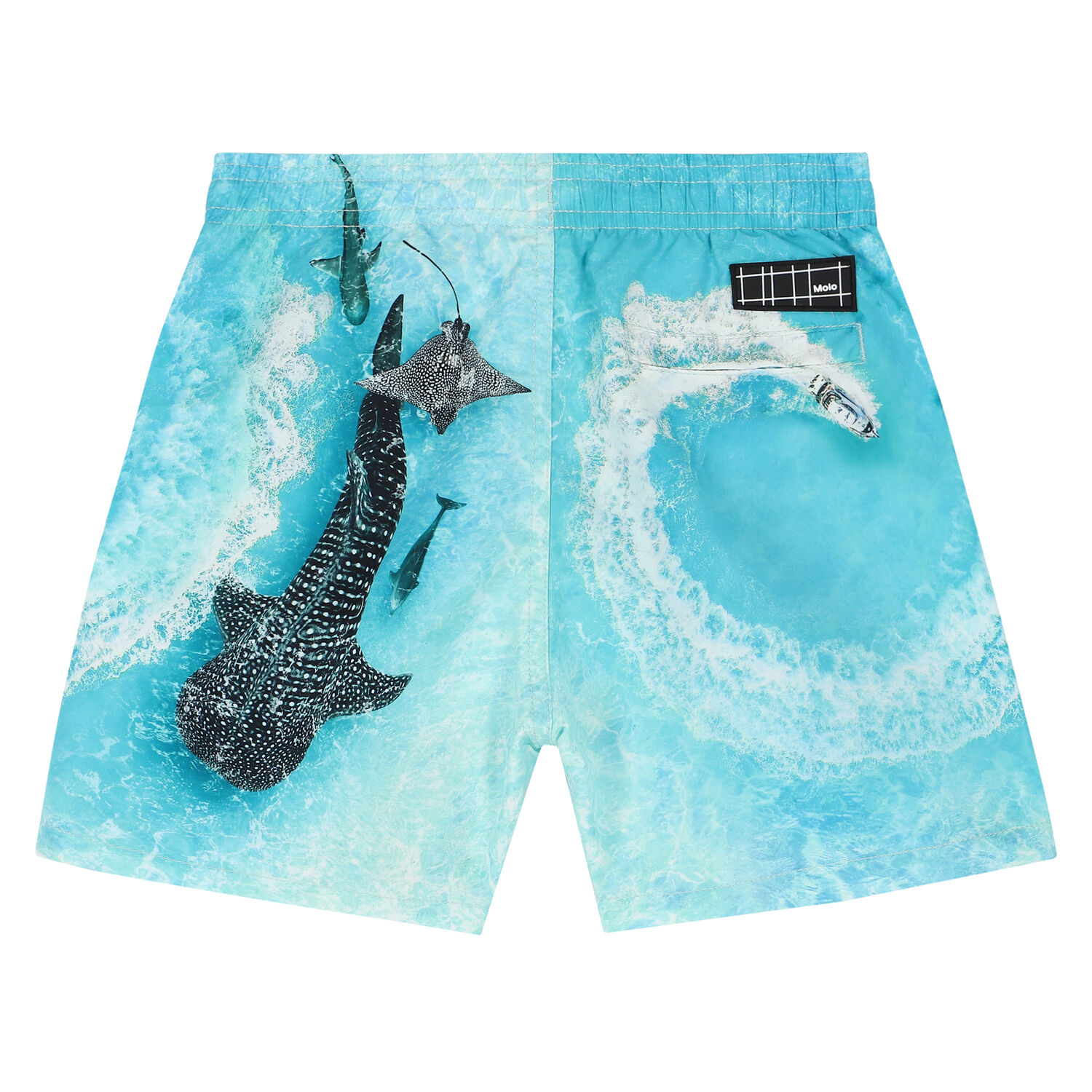Boys Aqua Whale Swim Shorts, 2, hi-res