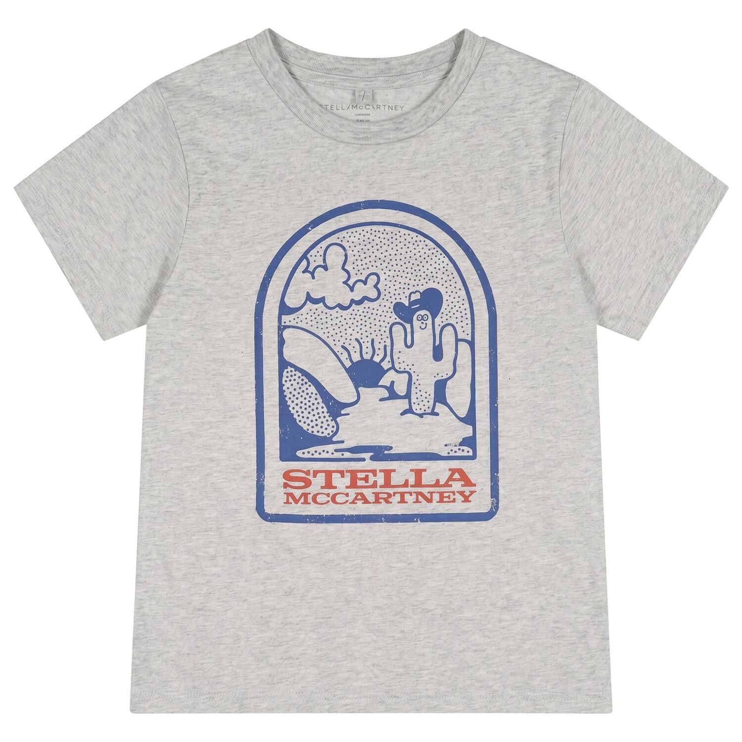 Boys Grey Logo T-Shirt , 1, hi-res