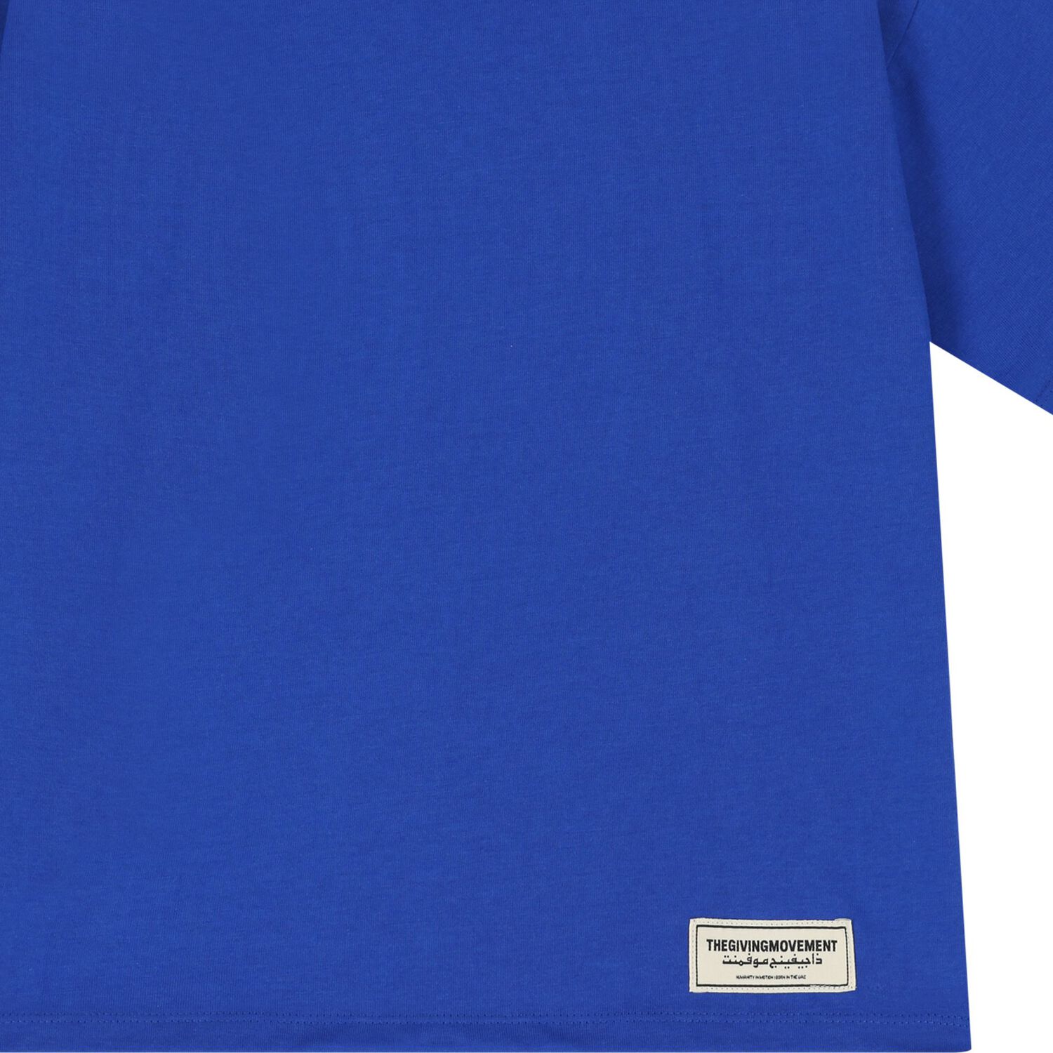 Blue Logo Oversized T- Shirt, 3, hi-res image number null