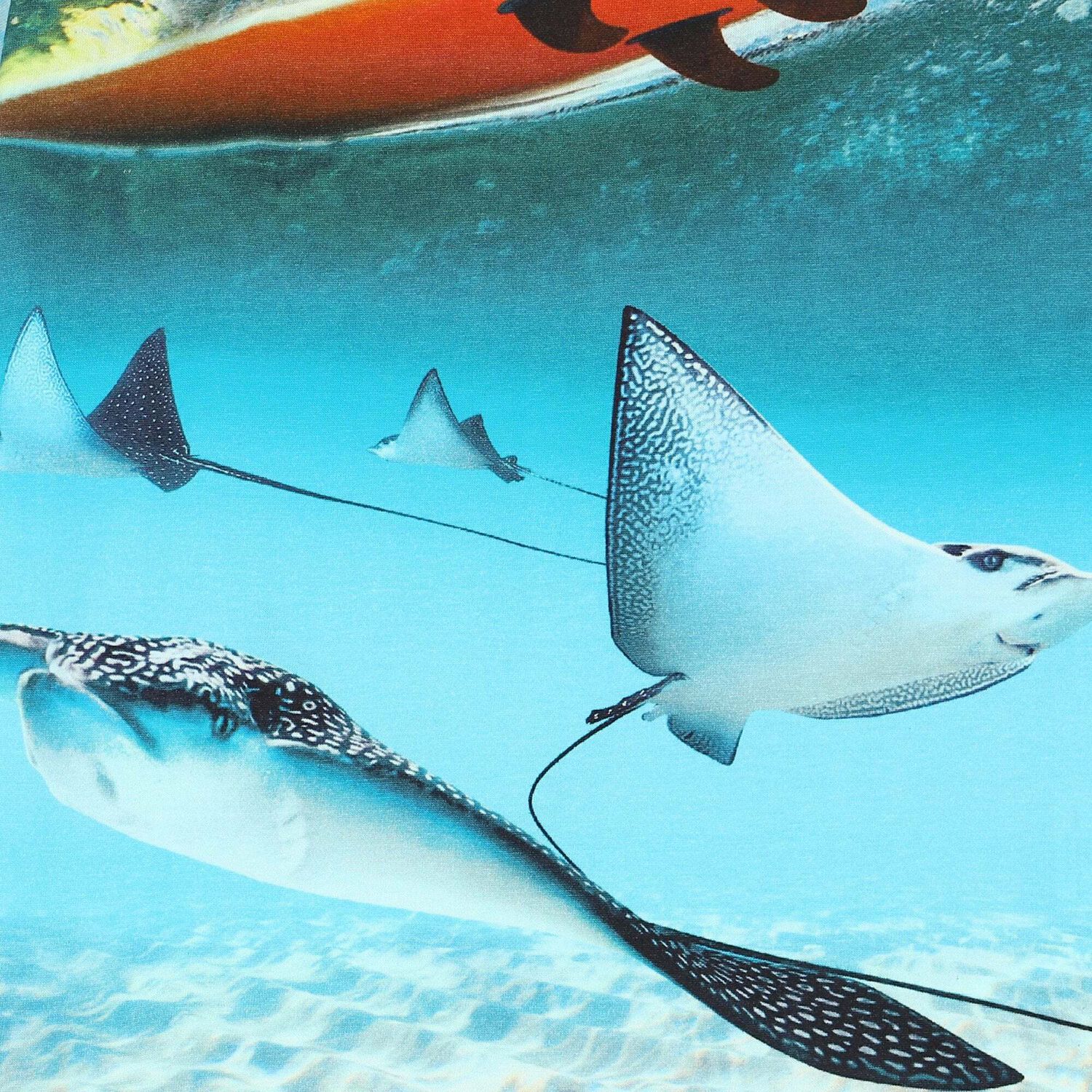 Boys Blue Sting Ray T-Shirt, 1, hi-res image number null