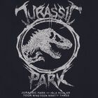 Boys Navy Blue Jurassic Shorts Set, 1, hi-res