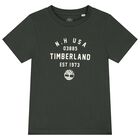 Boys Ivory & Green Logo T-Shirts ( 2-Pack ), 2, hi-res