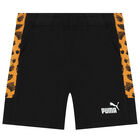 Boys Black Logo Shorts, 1, hi-res