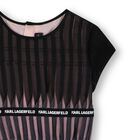 Girls Black & Pink Pleated Tulle Dress, 1, hi-res