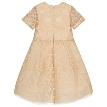 Girls Beige Embroidered Tulle Dress
