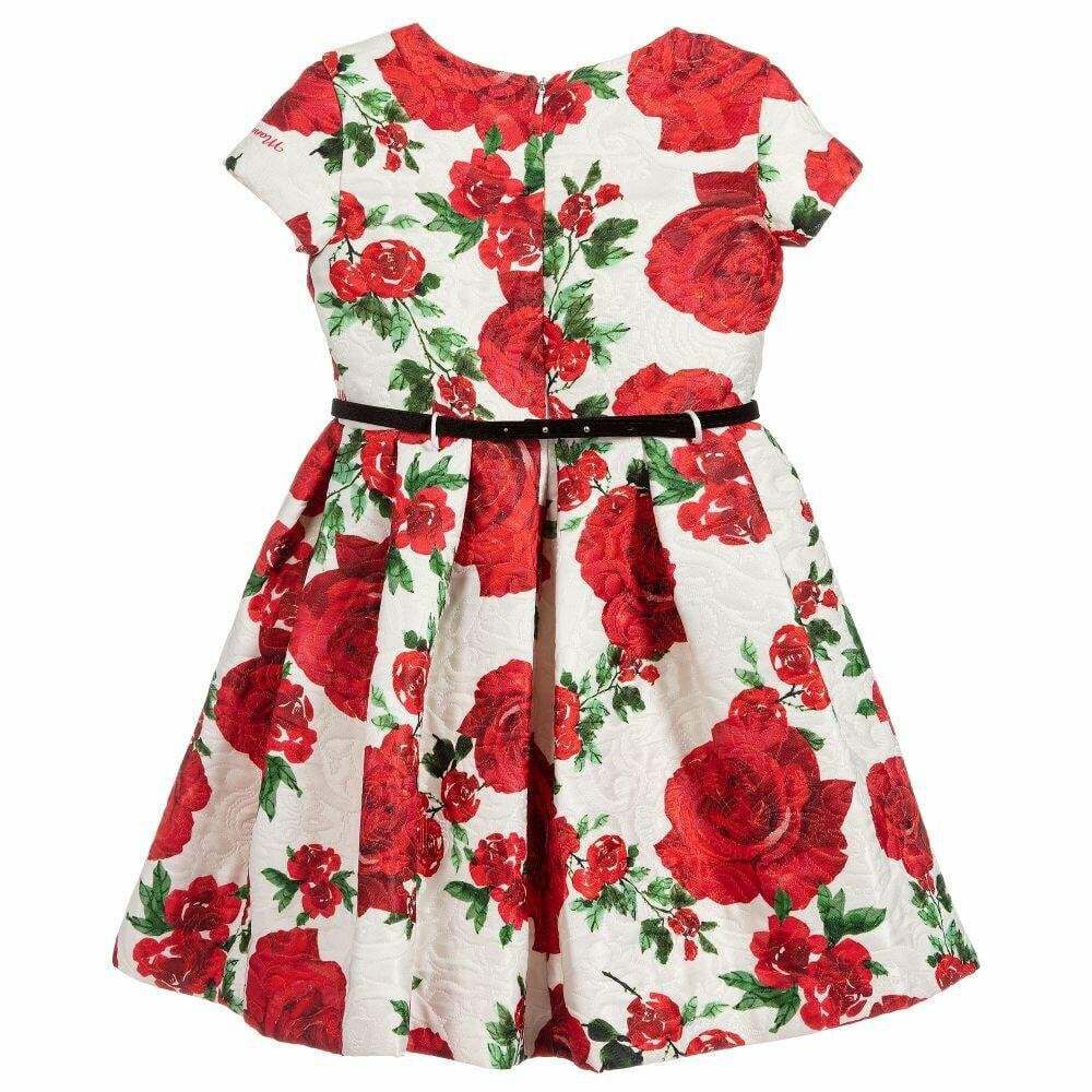 Gymboree rose sales print dress