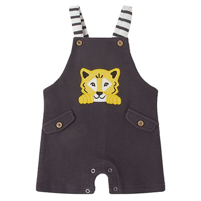 Younger Boys Grey Dungarees