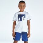 Boys Blue Printed Swim Shorts, 1, hi-res