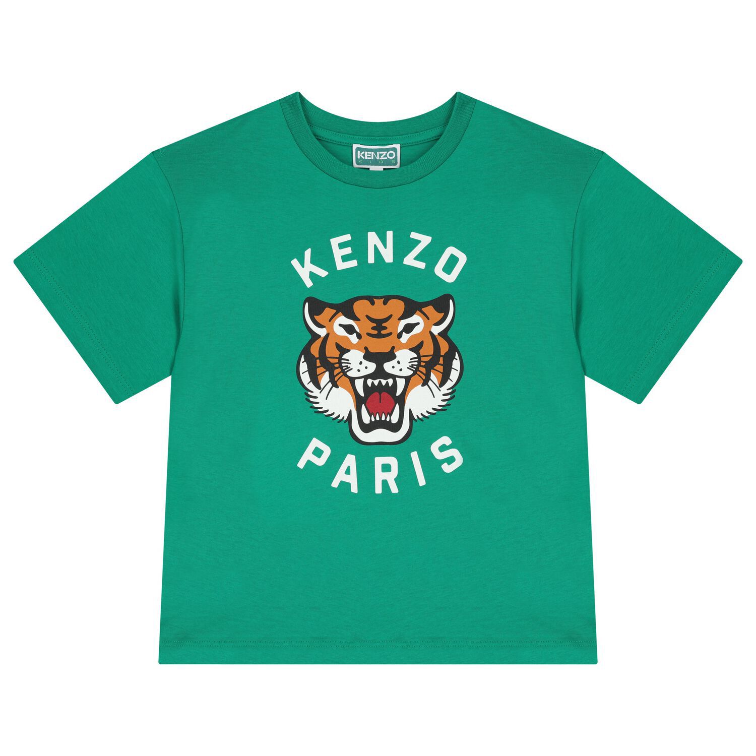 Boys Green Tiger T-Shirt, 1, hi-res