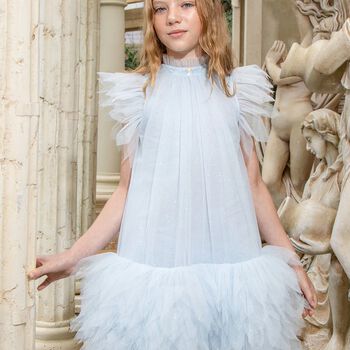 Girls Blue Embellished Tulle Dress