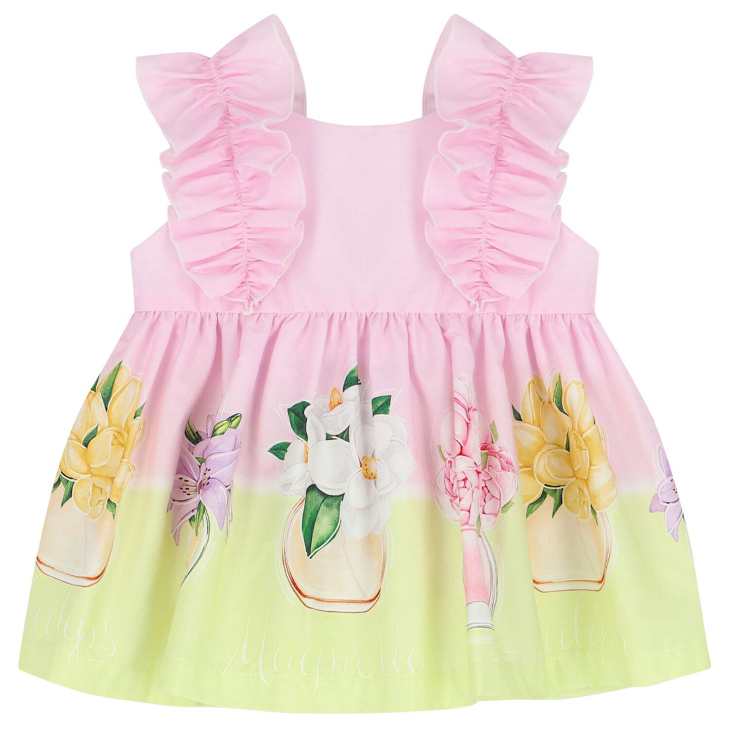 Baby Gilrs Pink & Green Ruffled Floral Dress Set, 1, hi-res