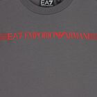 Boys Grey & Black Logo Shorts Set, 4, hi-res