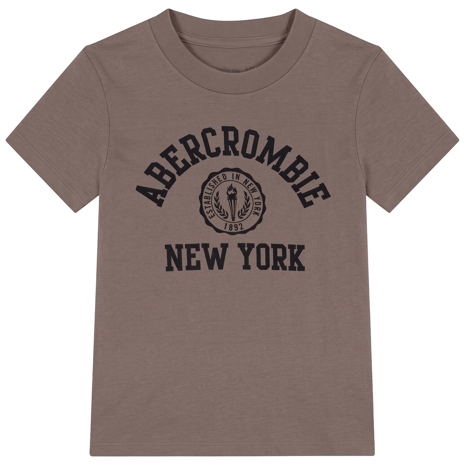 Boys Brown Logo Crest T-Shirt, 1, hi-res