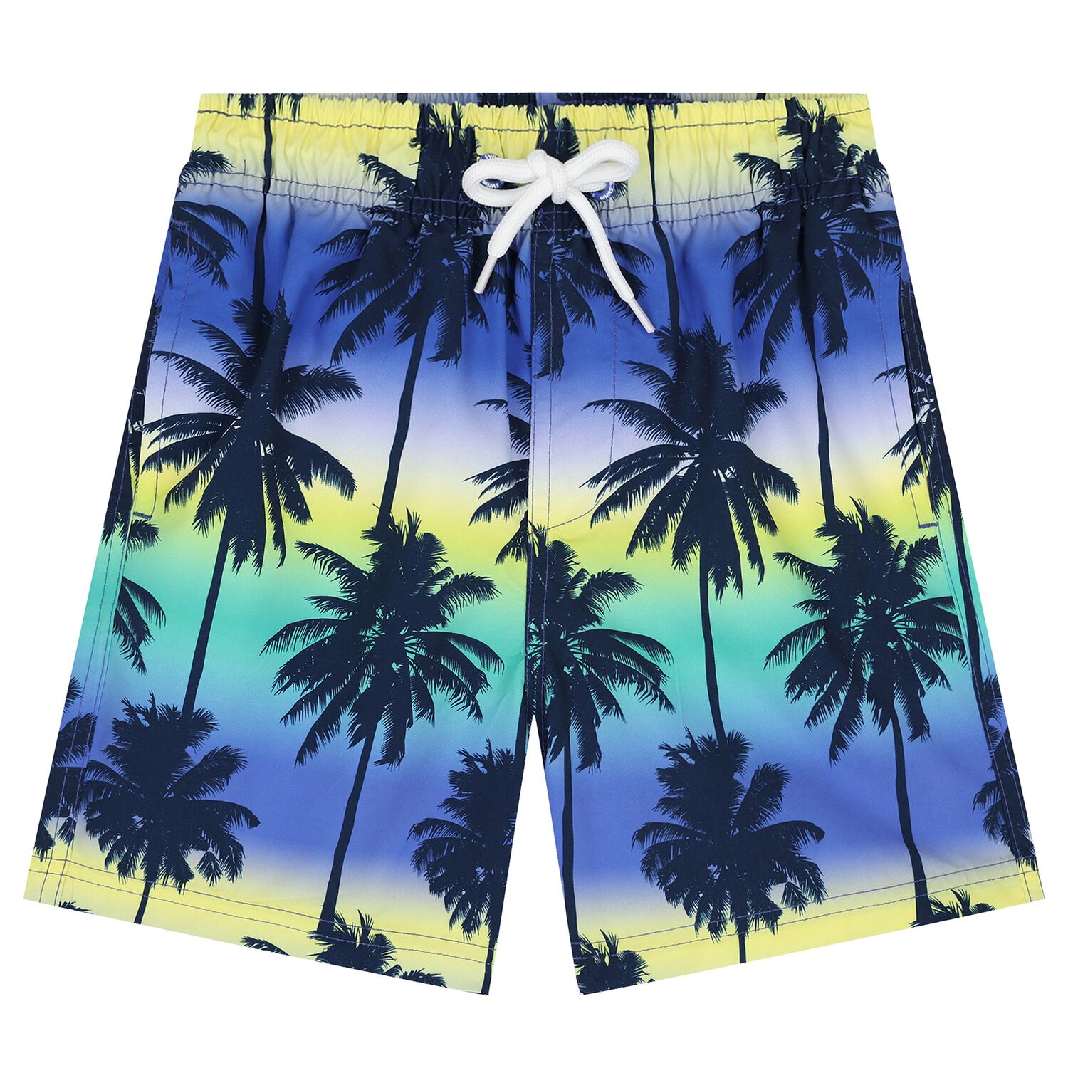 Boys Blue & Yellow Palm Tree Swim Shorts, 1, hi-res image number null