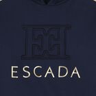 Girls Navy Blue Logo Hooded Top, 1, hi-res