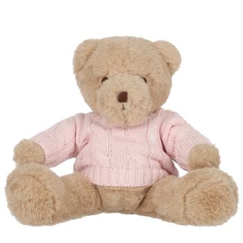 Girls Beige & Pink Teddy Bear Soft Toy ( 20cm )