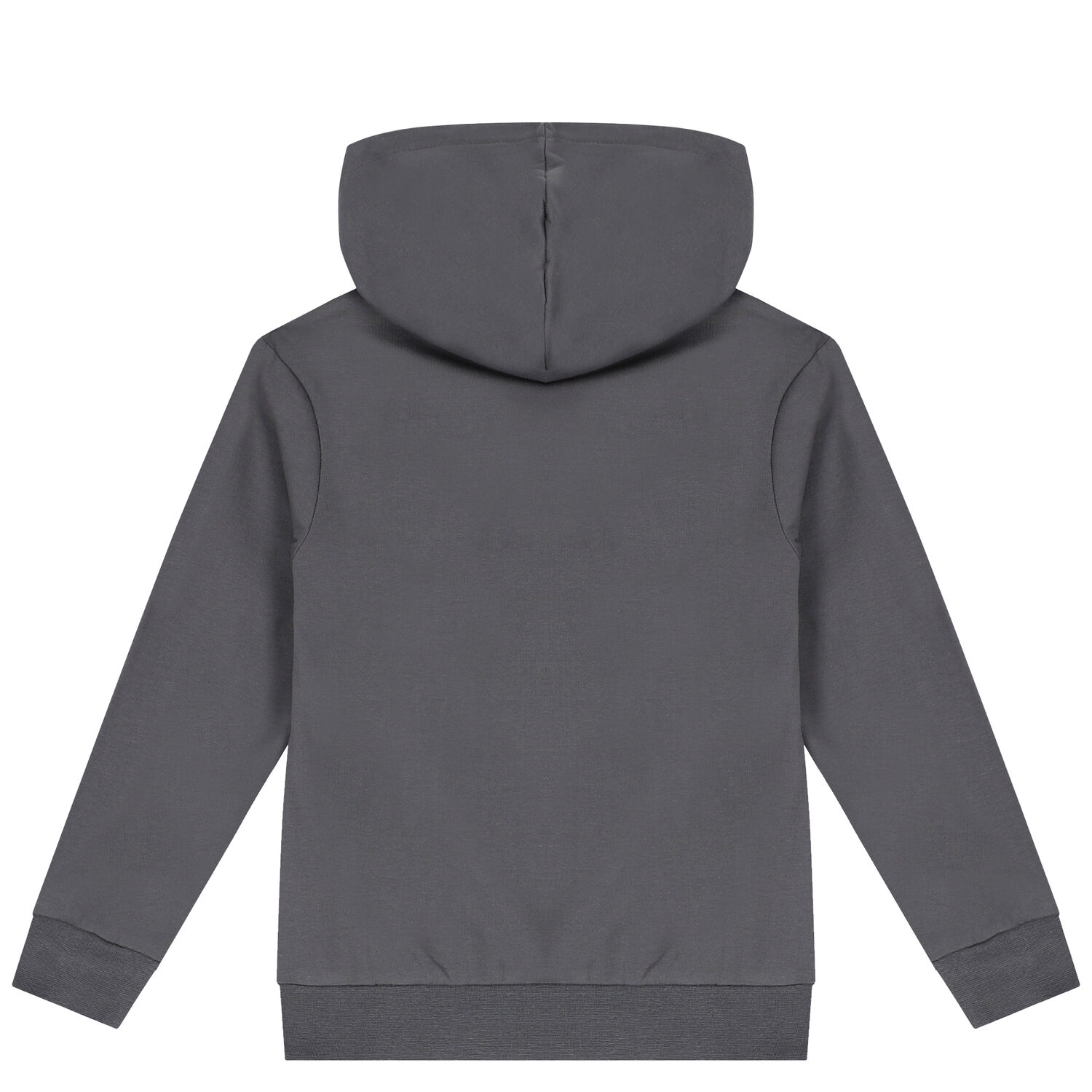 Grey Disney Hooded Top, 1, hi-res