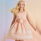 Girls Pink Embroidered Organza Dress, 1, hi-res