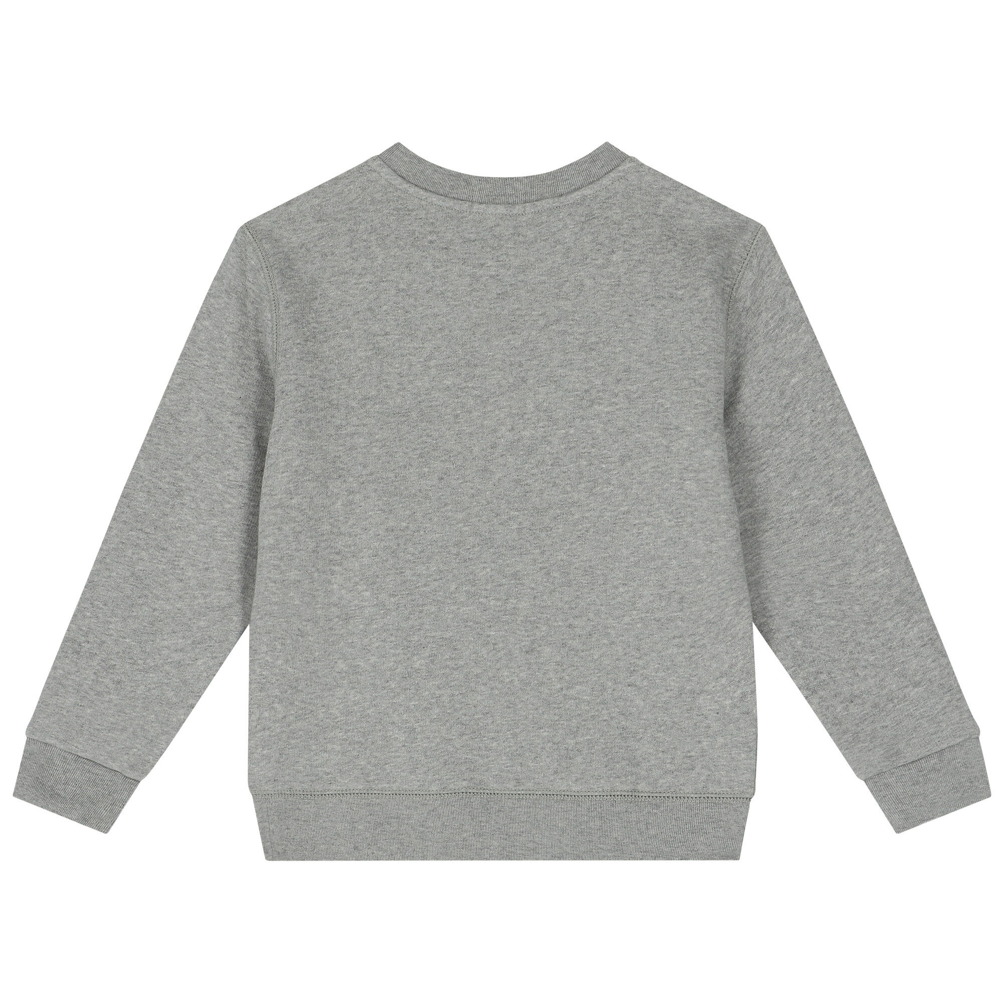 Polo bear sweatshirt grey new arrivals