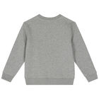 Boys Grey Polo Bear Sweatshirt, 1, hi-res