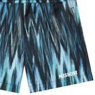 Boys Navy Blue & Blue Swim Shorts, 1, hi-res