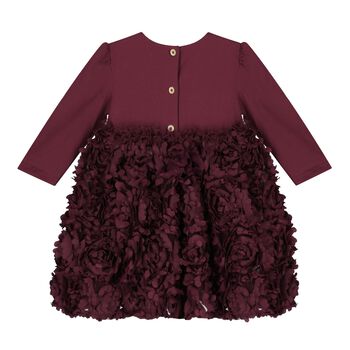 Baby Girls Burgundy Red Tulle Roses Dress