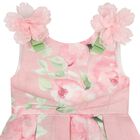 Girls Pink Floral Dress, 1, hi-res