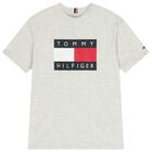 Boys Grey Logo T-Shirt, 2, hi-res