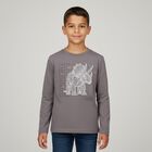Boys Grey Dinosaur Long Sleeve Top, 1, hi-res