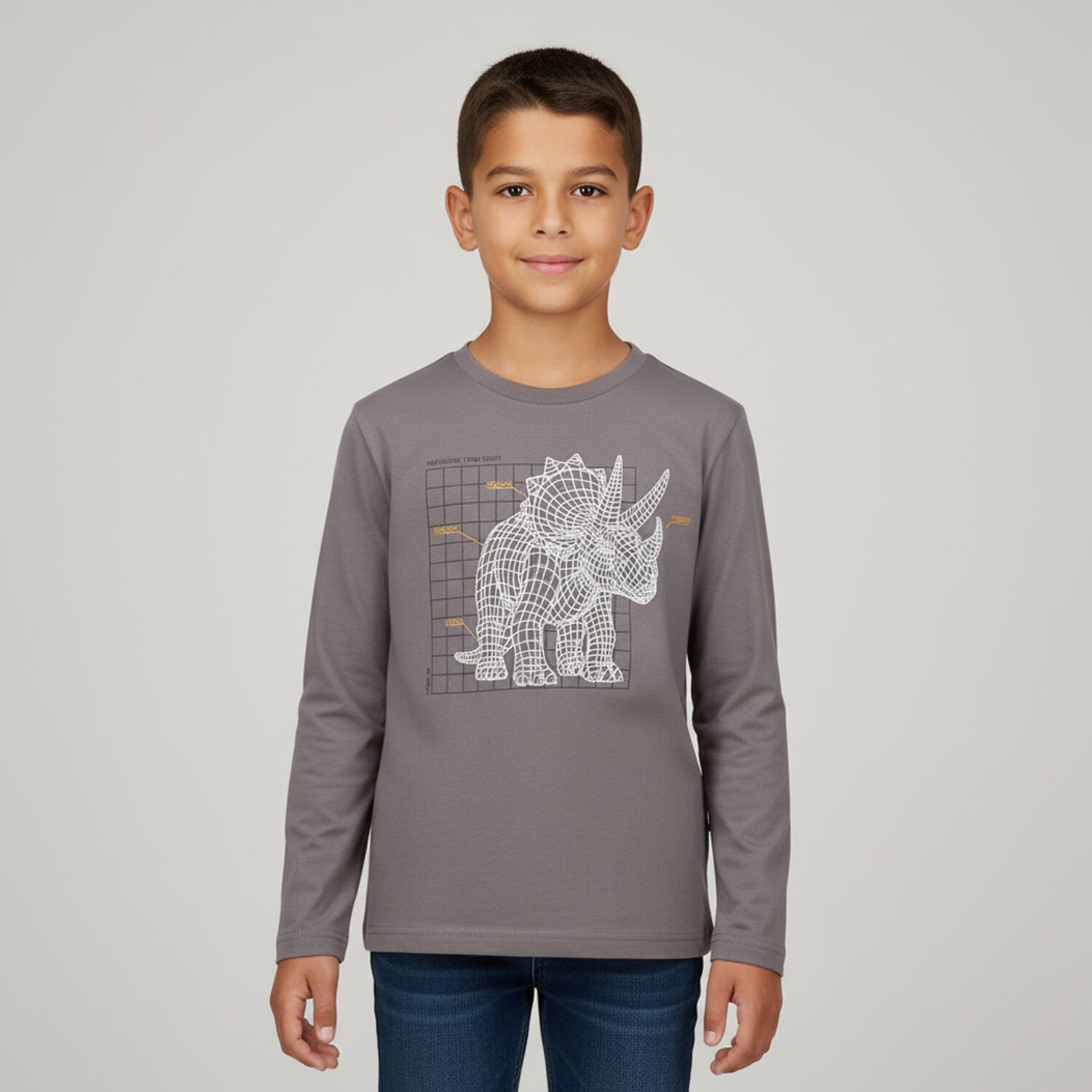 Boys Grey Dinosaur Long Sleeve Top, 1, hi-res image number null