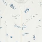 Baby Boys White & Navy Blue Babygrows ( 2 Pack ), 7, hi-res