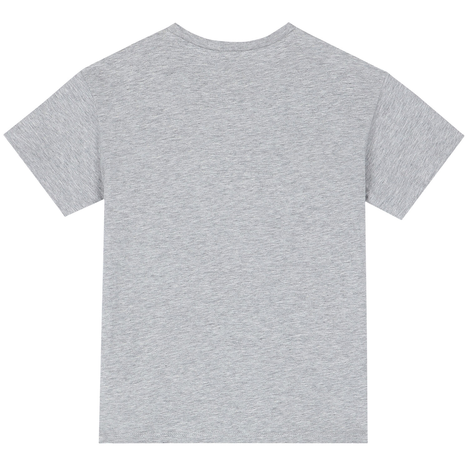 Boys Grey Tiger Logo T-Shirt, 1, hi-res