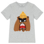 Boys Grey Bear T-Shirt, 1, hi-res