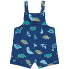 Baby Boys Blue Dinosaur Dungaree & Hat Set, 1, hi-res