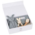 Pale Green Baby Blanket & Bunny Comforter Gift Set, 4, hi-res