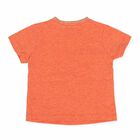 Boys Orange Embroidered T-Shirt, 1, hi-res