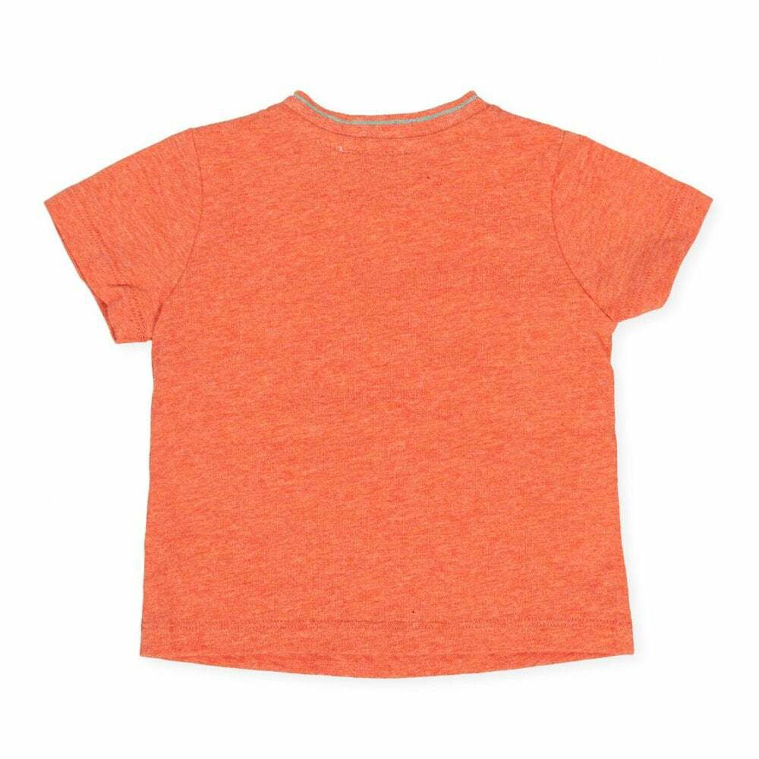 Boys Orange Embroidered T-Shirt, 1, hi-res image number null