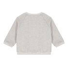 Baby Boys Grey Dinosaur 2 Piece Babygrow, 1, hi-res