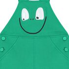 Baby Boys Green Frog Dungarees, 1, hi-res