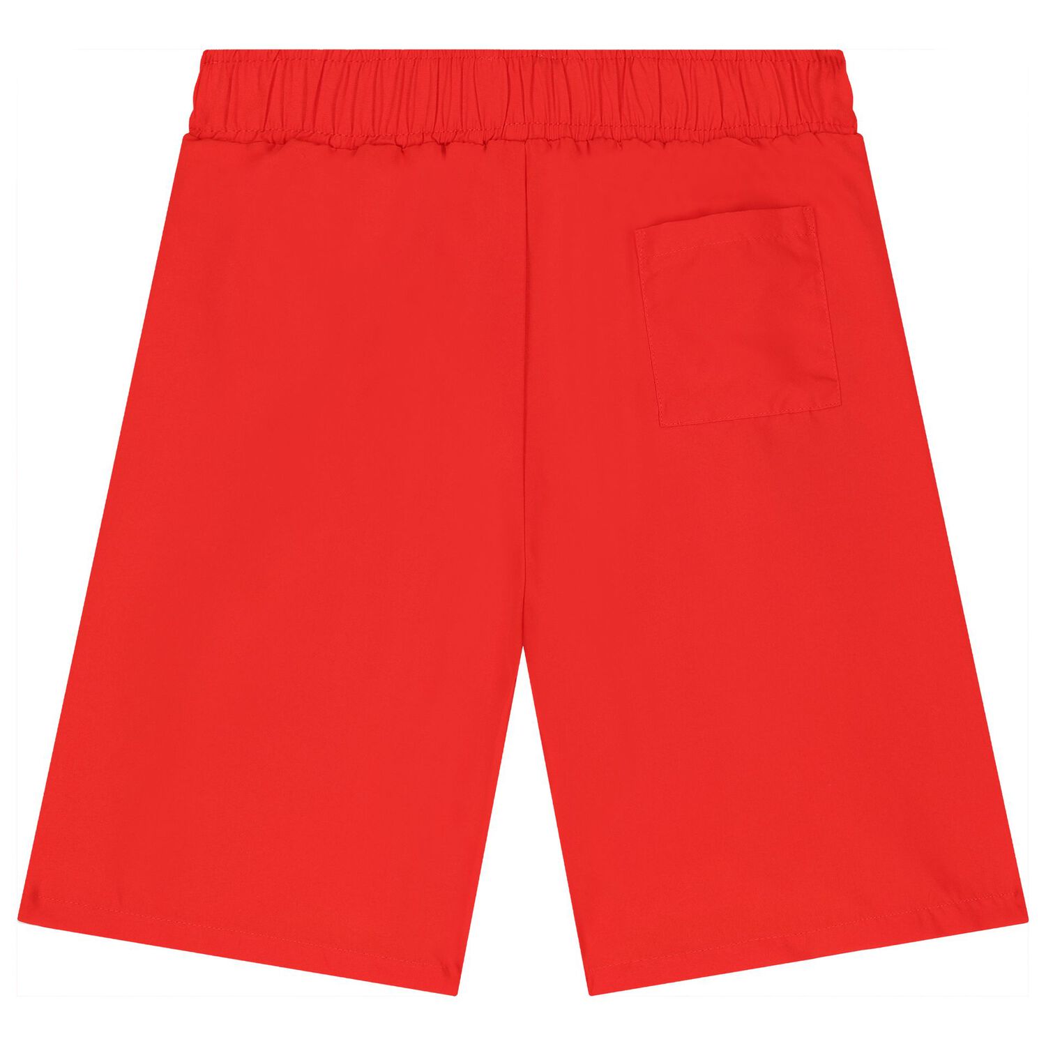 Boys Red Tiger Logo Swim Shorts, 1, hi-res image number null