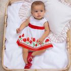 Baby Girls White & Red Floral Dress , 1, hi-res