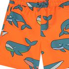 Boys Orange Whale Swim Shorts, 1, hi-res