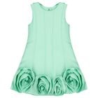 Girls Green Rose Hem Dress, 1, hi-res