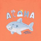 Younger Boys Orange Shark T-Shirt, 3, hi-res