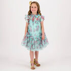 Girls Aqua Rose Tulle Dress, 1, hi-res