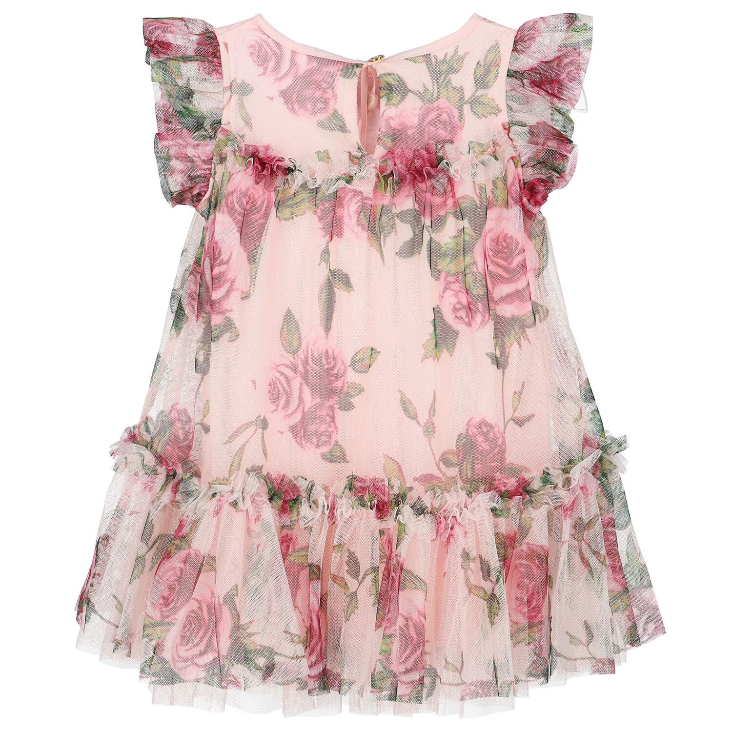 Baby Girls Pink & Red Floral Tulle Dress, 3, hi-res