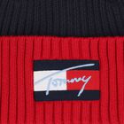 Navy Blue & Red Logo Beanie Hat, 1, hi-res