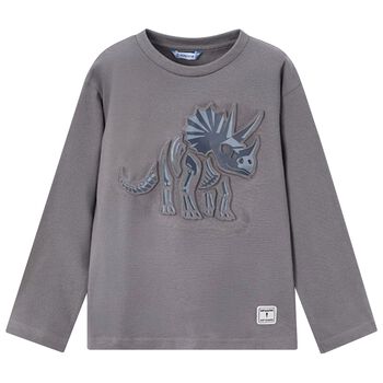 Boys Grey Dinosaur Long Sleeve Top